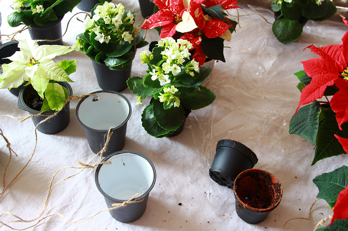 Blumenampeln Weihnachten Upcycling DIY binedoro